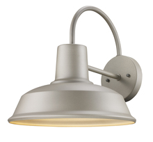 Trans Globe 50330 SL - 1LT-OUTD WALL INDUSTRIAL-SL