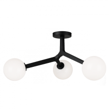  X81503BKOP - Rami Black Ceiling Mount
