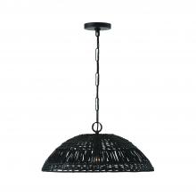 Capital Canada 347511MB - 1-Light Pendant