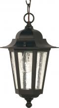  60/3476 - Cornerstone - 1 Light - 13" - Hanging Lantern - with Clear Seed Glass; Color retail packaging