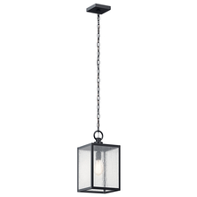  59008BKT - Outdoor Pendant / Semi Flush 1Lt