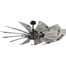  P250000-31M - P250000-31M 60IN 12-BLADE CEILING FAN