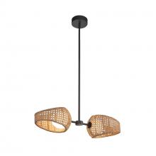  PD20602-BK/OP - Lanai 2 Head Black/Opal Glass LED Pendant