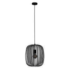 Eglo Canada 900494A - 1 LT Cage Pendant w/ Black Finish & Black Shade
